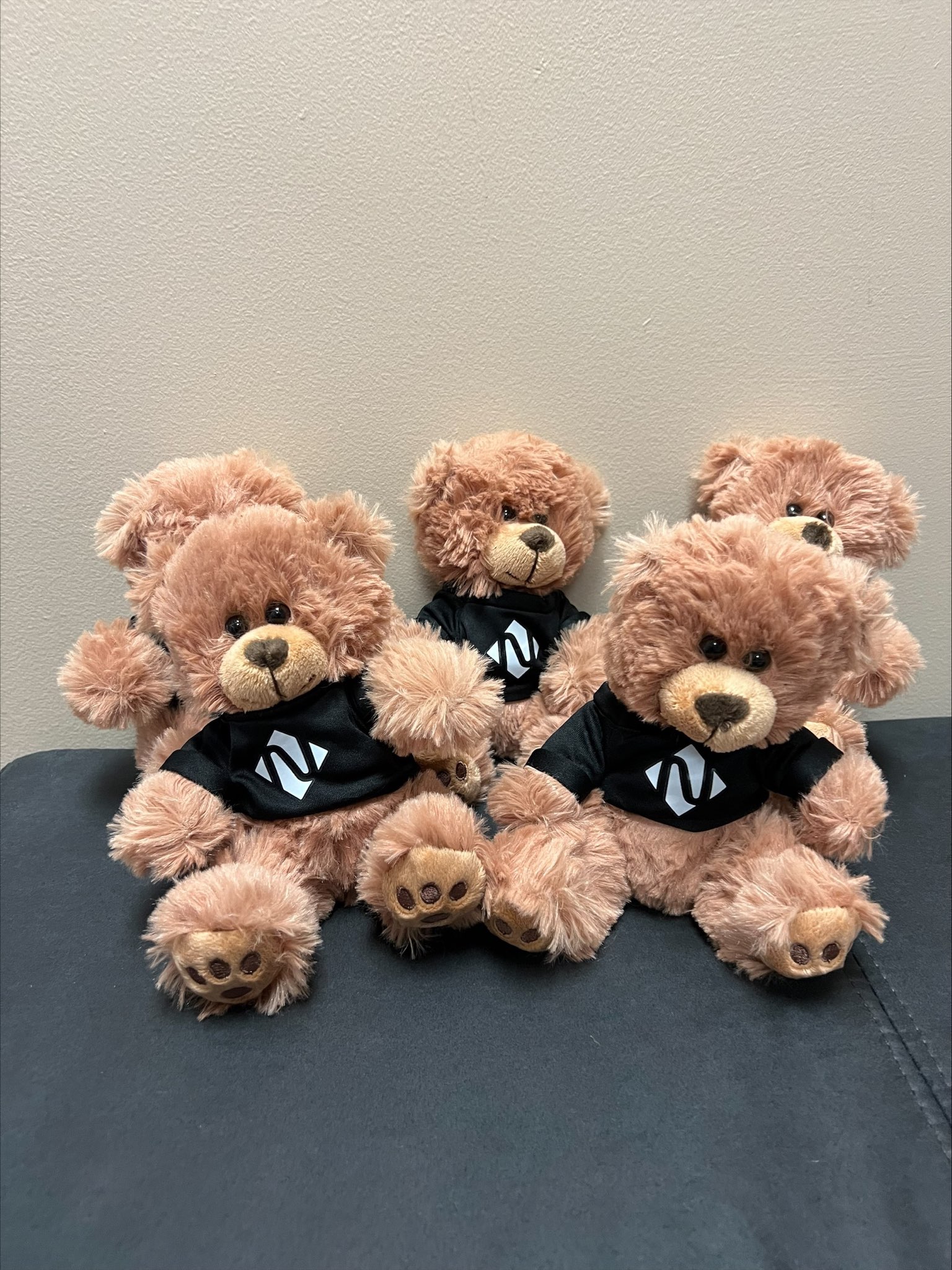 Noble Custom Printed Teddy Bears